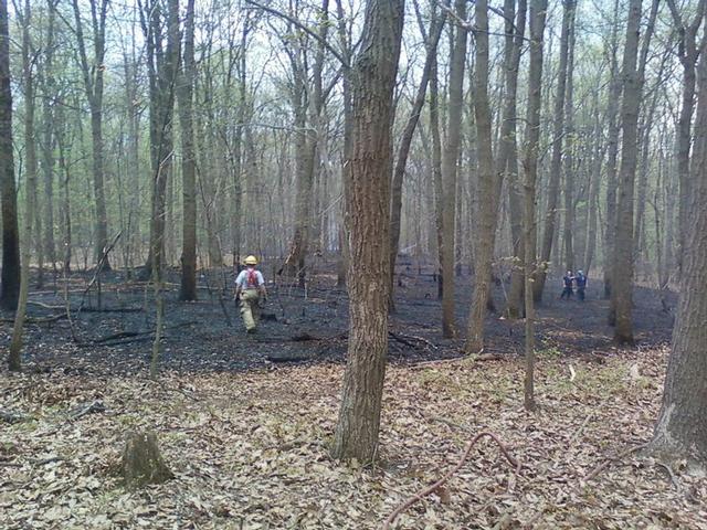 Howard co woods fire